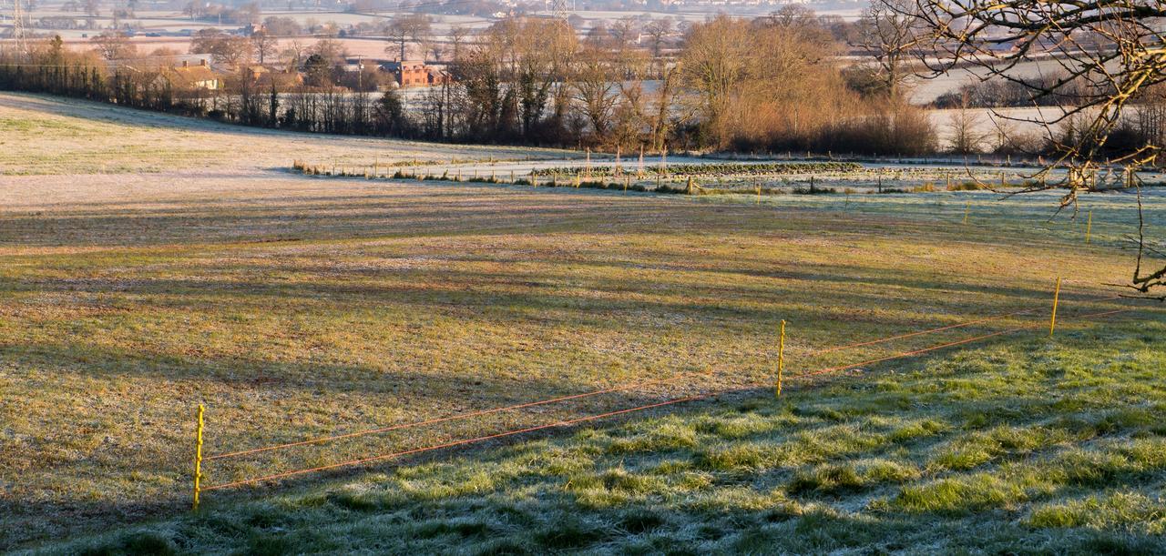 Huntstile Organic Farm Panzió Bridgwater Kültér fotó